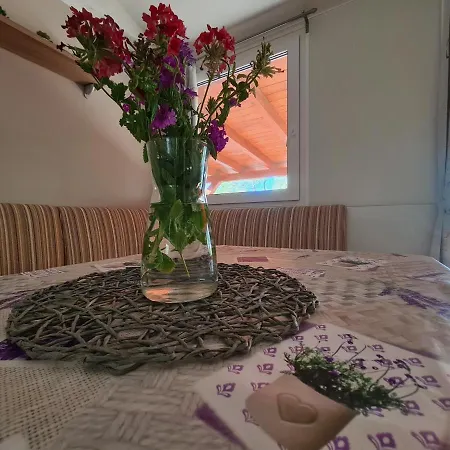 Дом отдыха Gabi Mobile