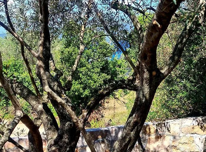 Σπίτι διακοπών Gabi Mobile Banj