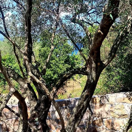 Сasa de vacaciones Gabi Mobile Banj